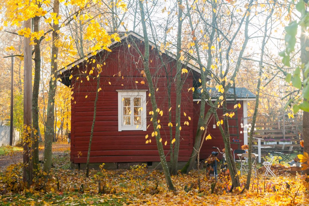 Punainen mökki sumuisessa maisemassa, maassa ja puissa keltaisia lehtiä.